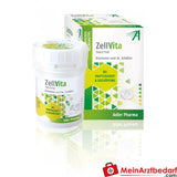 Adler Pharma Complexe Schüßler comprimés 100 g en cas de manque de force et d'épuisement