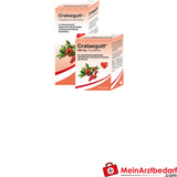 Crataegutt filmomhulde tabletten 450 mg 60 st. Meidoorn-extract alcoholvrij