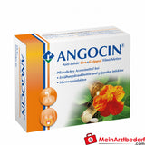 Angocin Anti-Infekt Compresse rivestite con film 100 St. a base di erbe per raffreddore e infezioni delle vie urinarie
