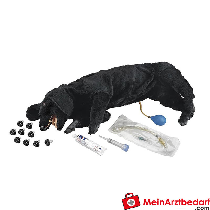 Erler Zimmer CPR Training dog, basic version