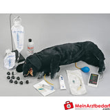 Erler-Zimmer HLW Hund, erweiterte Ausführung.