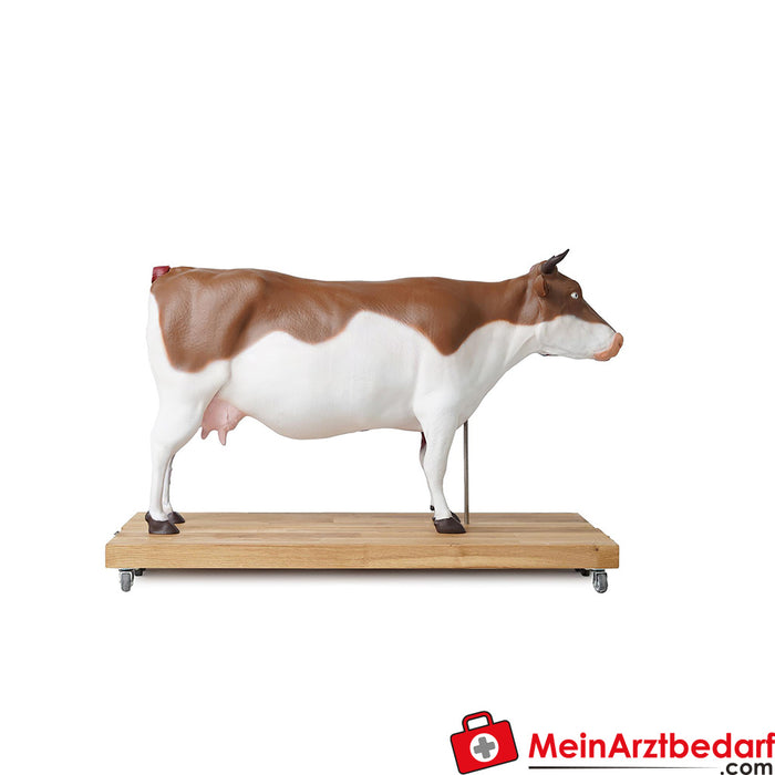 Erler Zimmer sığır modeli, 15 parça, 1/3 doğal boyut