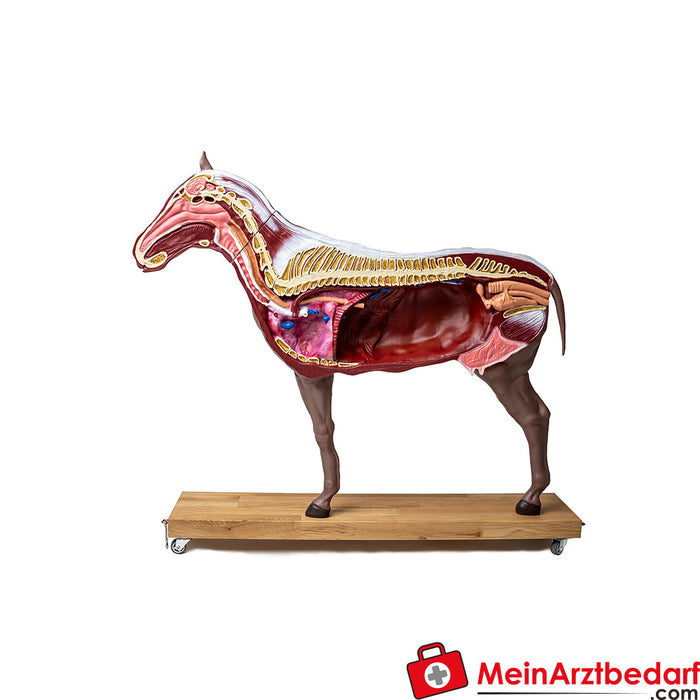 Erler Zimmer Paarden model (merrie), 16-delig, 1/3 natuurlijke grootte