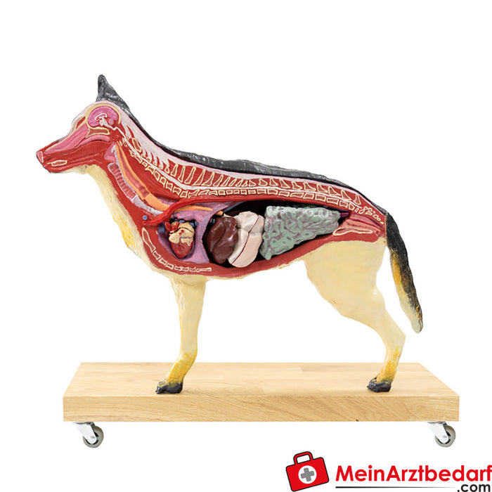Erler Zimmer Modello di cane (pastore tedesco), 11 pezzi, 2/3 dimensioni naturali