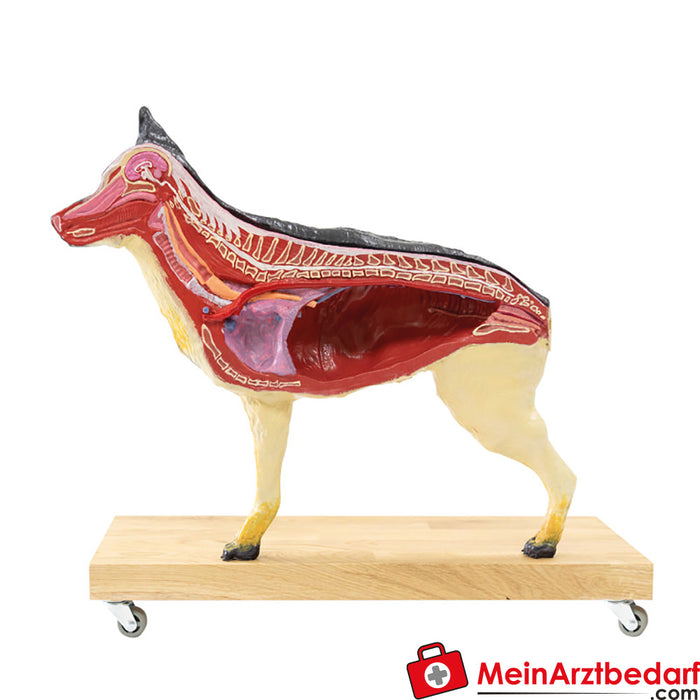 Erler Zimmer Dogs model (German shepherd), 11-piece, 2/3 natural size