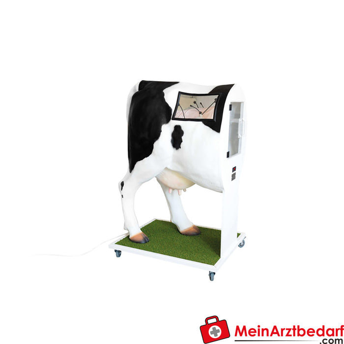 Erler Zimmer Advanced simulator for artificial insemination (KB) of the cow.