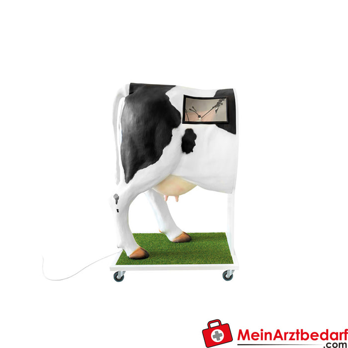 Erler Zimmer Simulateur avancé d'insémination artificielle (IA) de la vache