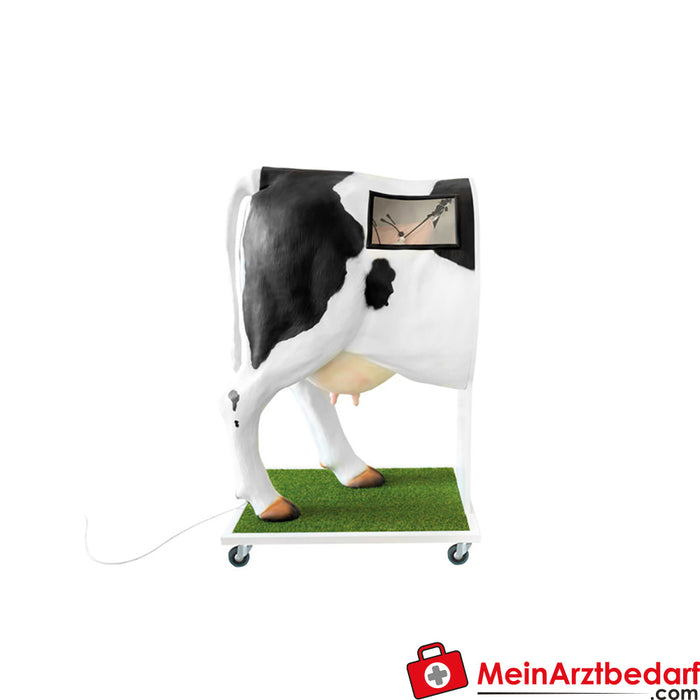 Erler Zimmer Advanced simulator for artificial insemination (KB) of the cow.