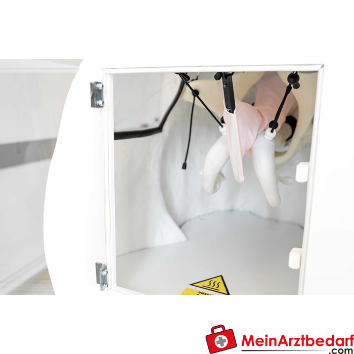 Erler Zimmer Advanced simulator for artificial insemination (KB) of the cow.