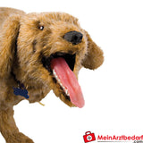 Erler-Zimmer Jerry K-9 HLW Übungspuppe.