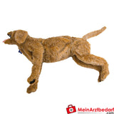 Erler-Zimmer Advanced Airway Jerry Übungspuppe.