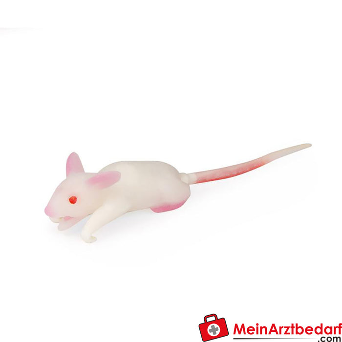 Erler Zimmer Simulation model mouse