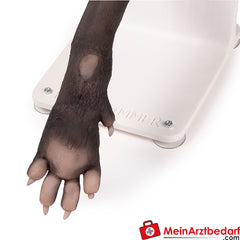 Erler-Zimmer Verbandstrainer Hundepfote.