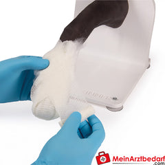 Erler-Zimmer Verbandstrainer Hundepfote.