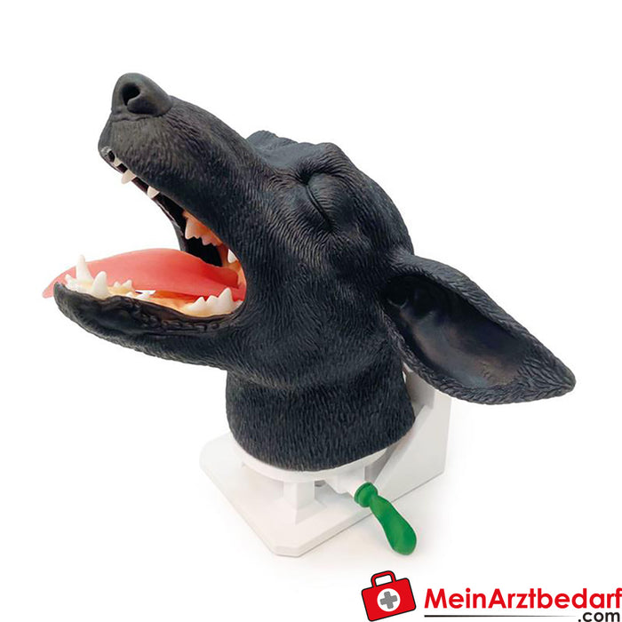 Erler Zimmer Intubation head dog