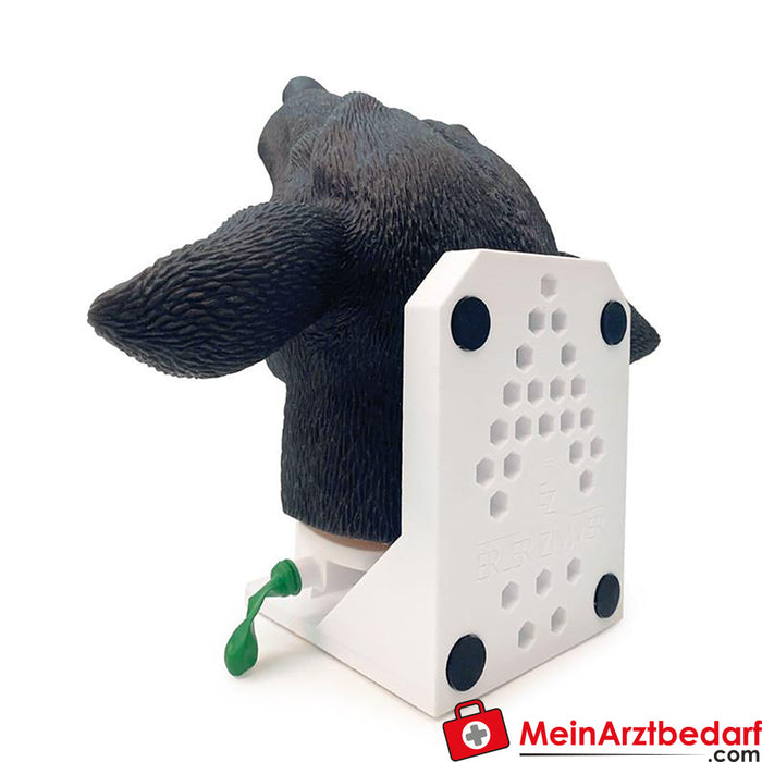 Erler Zimmer Intubation head dog