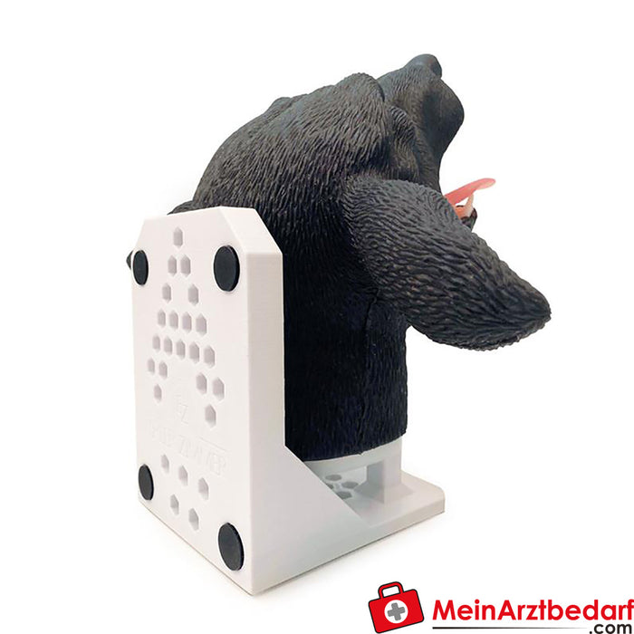 Erler Zimmer Intubation head dog