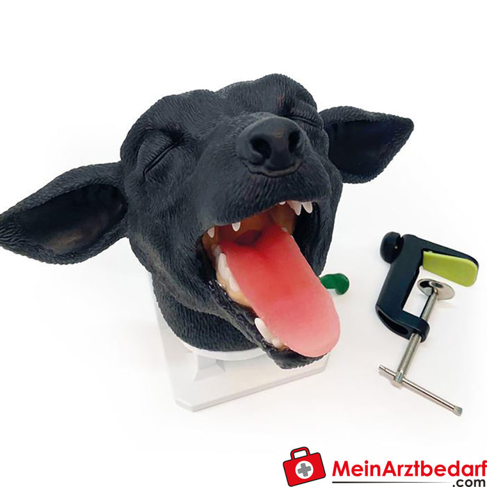 Erler Zimmer Intubation head dog