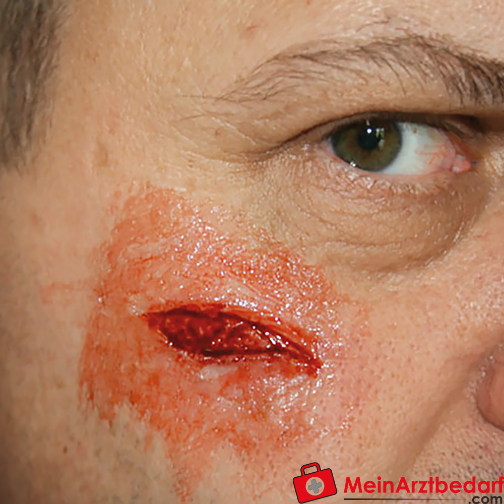 Erler-Zimmer EZ Wounds Wundensimulationsset „Professional“.