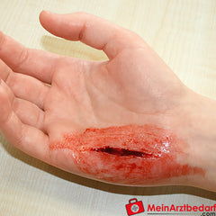 Erler-Zimmer EZ Wounds Wundensimulationsset „Professional“.