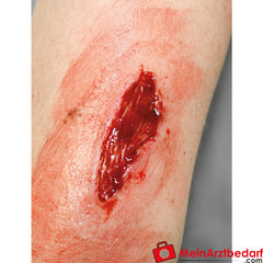 Erler-Zimmer EZ Wounds Wundensimulationsset „Professional“.