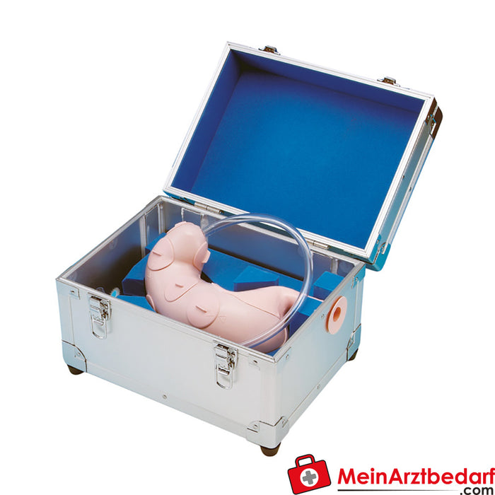 Erler Zimmer Formateur en dissection sous-muqueuse endoscopique (ESD)