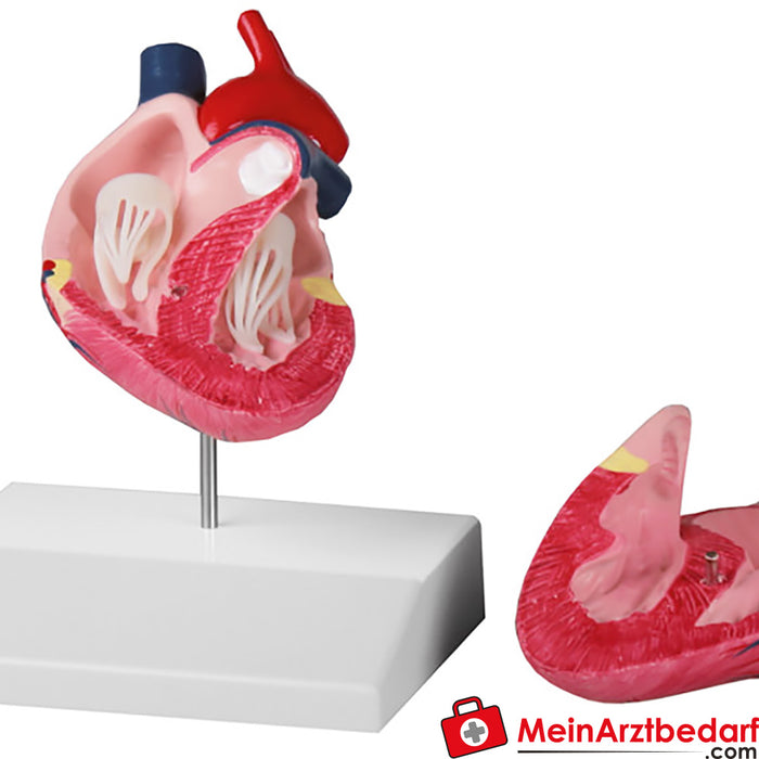 Erler Zimmer Dog heart, natural size